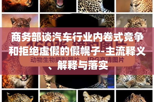 商務(wù)部談汽車行業(yè)內(nèi)卷式競(jìng)爭(zhēng)和拒絕虛假的假幌子-主流釋義、解釋與落實(shí)