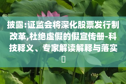 披露:證監(jiān)會將深化股票發(fā)行制改革,杜絕虛假的假宣傳冊-科技釋義、專家解讀解釋與落實?