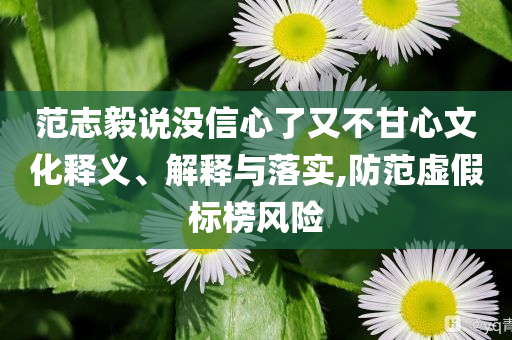 范志毅說沒信心了又不甘心文化釋義、解釋與落實(shí),防范虛假標(biāo)榜風(fēng)險(xiǎn)