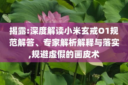 揭露:深度解讀小米玄戒O1規(guī)范解答、專家解析解釋與落實(shí),規(guī)避虛假的畫皮術(shù)