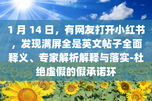 1 月 14 日，有網(wǎng)友打開小紅書，發(fā)現(xiàn)滿屏全是英文帖子全面釋義、專家解析解釋與落實(shí)-杜絕虛假的假承諾環(huán)