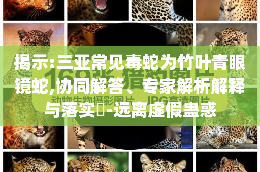 揭示:三亞常見毒蛇為竹葉青眼鏡蛇,協(xié)同解答、專家解析解釋與落實?-遠離虛假蠱惑