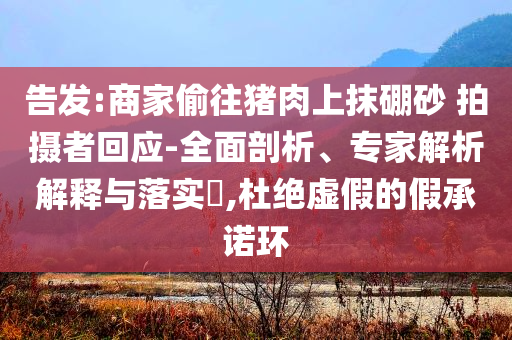 告發(fā):商家偷往豬肉上抹硼砂 拍攝者回應(yīng)-全面剖析、專家解析解釋與落實(shí)?,杜絕虛假的假承諾環(huán)