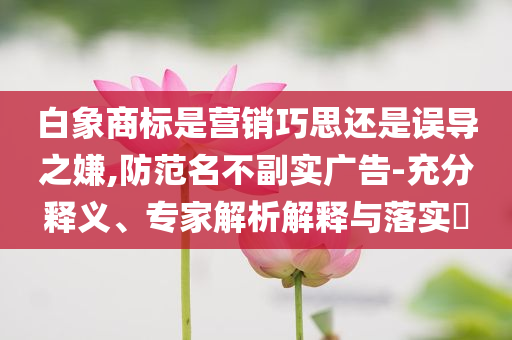 白象商標(biāo)是營(yíng)銷巧思還是誤導(dǎo)之嫌,防范名不副實(shí)廣告-充分釋義、專家解析解釋與落實(shí)?
