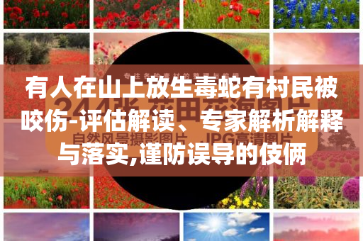 有人在山上放生毒蛇有村民被咬傷-評(píng)估解讀、專家解析解釋與落實(shí),謹(jǐn)防誤導(dǎo)的伎倆