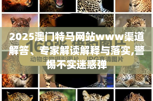 2025澳門特馬網(wǎng)站www渠道解答、專家解讀解釋與落實,警惕不實迷惑彈