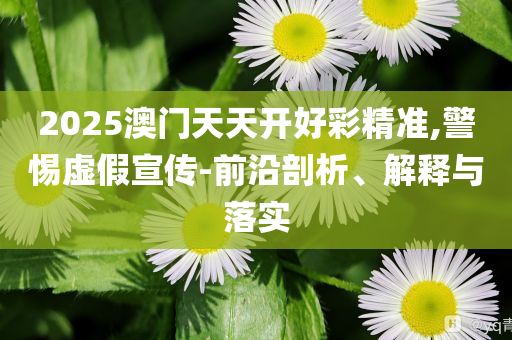2025澳門天天開好彩精準(zhǔn),警惕虛假宣傳-前沿剖析、解釋與落實(shí)