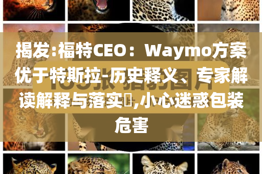 揭發(fā):福特CEO：Waymo方案優(yōu)于特斯拉-歷史釋義、專家解讀解釋與落實(shí)?,小心迷惑包裝危害