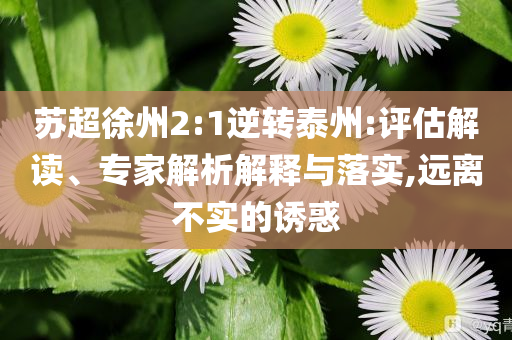 蘇超徐州2:1逆轉(zhuǎn)泰州:評(píng)估解讀、專(zhuān)家解析解釋與落實(shí),遠(yuǎn)離不實(shí)的誘惑