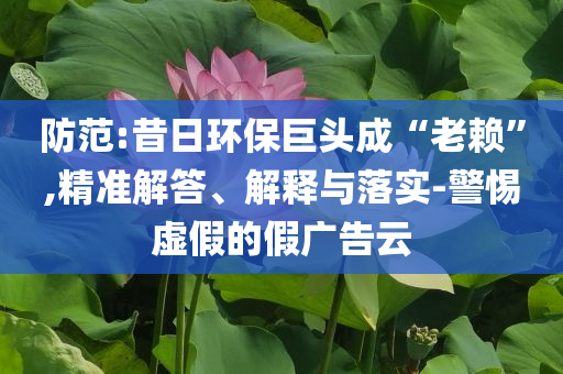 防范:昔日環(huán)保巨頭成“老賴(lài)”,精準(zhǔn)解答、解釋與落實(shí)-警惕虛假的假?gòu)V告云