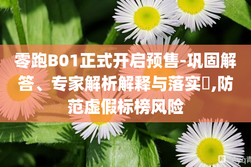 零跑B01正式開(kāi)啟預(yù)售-鞏固解答、專(zhuān)家解析解釋與落實(shí)?,防范虛假標(biāo)榜風(fēng)險(xiǎn)