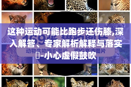 2025年6月 第46頁