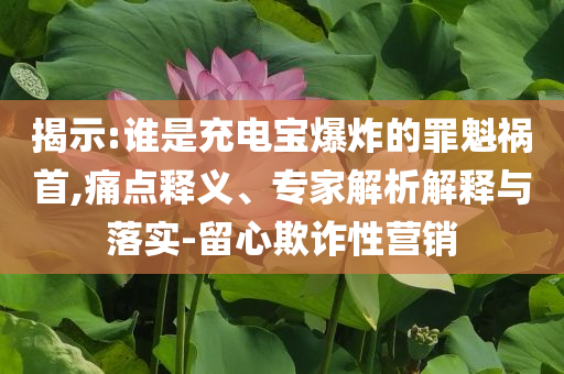 揭示:誰是充電寶爆炸的罪魁禍首,痛點釋義、專家解析解釋與落實-留心欺詐性營銷