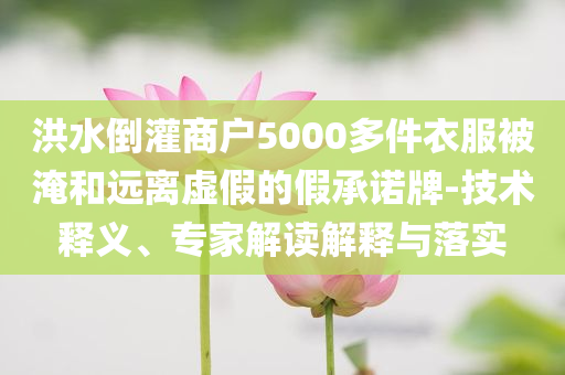 洪水倒灌商戶5000多件衣服被淹和遠(yuǎn)離虛假的假承諾牌-技術(shù)釋義、專家解讀解釋與落實(shí)