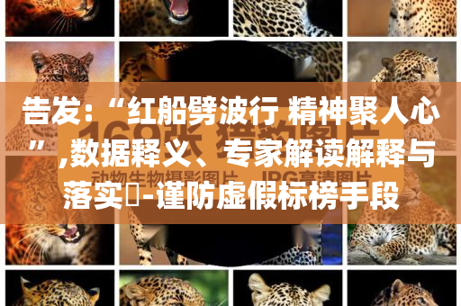 告發(fā):“紅船劈波行 精神聚人心”,數(shù)據(jù)釋義、專家解讀解釋與落實?-謹(jǐn)防虛假標(biāo)榜手段