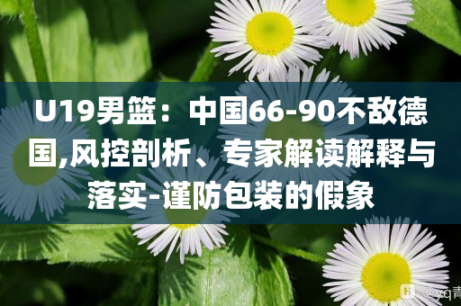 U19男籃：中國66-90不敵德國,風(fēng)控剖析、專家解讀解釋與落實-謹防包裝的假象