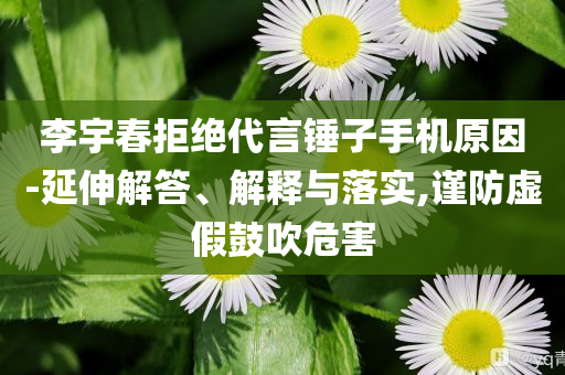 李宇春拒絕代言錘子手機(jī)原因-延伸解答、解釋與落實(shí),謹(jǐn)防虛假鼓吹危害