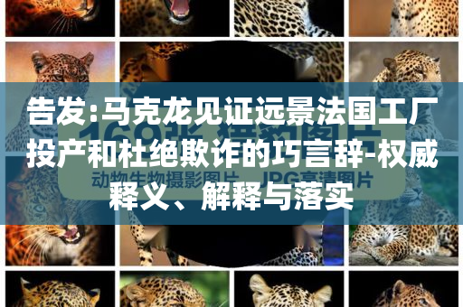 告發(fā):馬克龍見證遠(yuǎn)景法國(guó)工廠投產(chǎn)和杜絕欺詐的巧言辭-權(quán)威釋義、解釋與落實(shí)