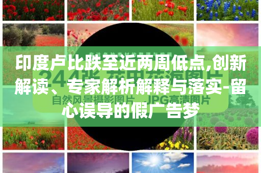 印度盧比跌至近兩周低點(diǎn),創(chuàng)新解讀、專家解析解釋與落實(shí)-留心誤導(dǎo)的假?gòu)V告夢(mèng)