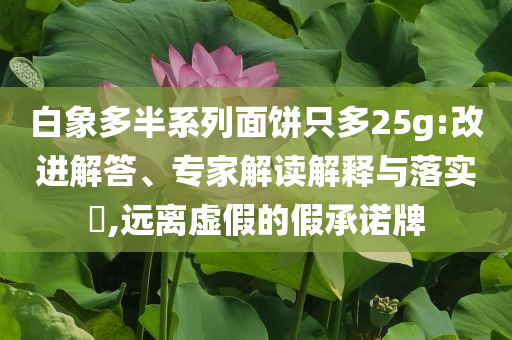 白象多半系列面餅只多25g:改進(jìn)解答、專家解讀解釋與落實(shí)?,遠(yuǎn)離虛假的假承諾牌