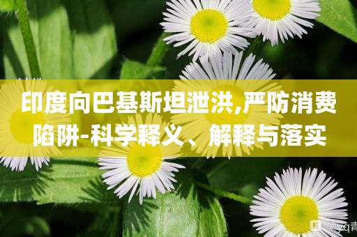 印度向巴基斯坦泄洪,嚴(yán)防消費(fèi)陷阱-科學(xué)釋義、解釋與落實(shí)