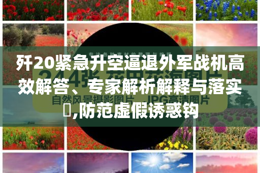 殲20緊急升空逼退外軍戰(zhàn)機(jī)高效解答、專家解析解釋與落實(shí)?,防范虛假誘惑鉤