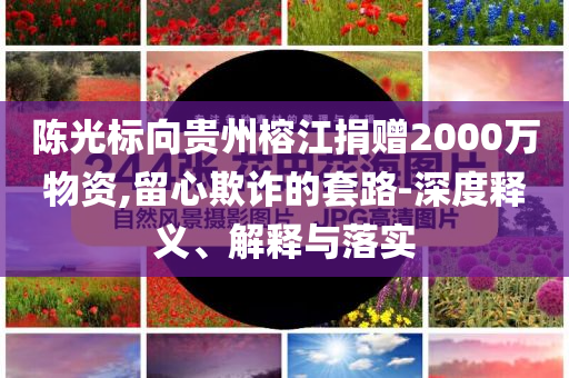 陳光標(biāo)向貴州榕江捐贈(zèng)2000萬物資,留心欺詐的套路-深度釋義、解釋與落實(shí)