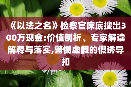 《以法之名》檢察官床底搜出300萬現(xiàn)金:價值剖析、專家解讀解釋與落實,警惕虛假的假誘導(dǎo)扣