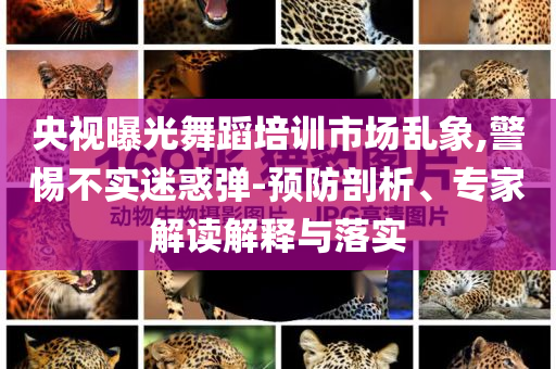 央視曝光舞蹈培訓市場亂象,警惕不實迷惑彈-預防剖析、專家解讀解釋與落實
