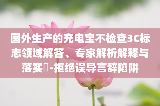 國外生產(chǎn)的充電寶不檢查3C標(biāo)志領(lǐng)域解答、專家解析解釋與落實(shí)?-拒絕誤導(dǎo)言辭陷阱
