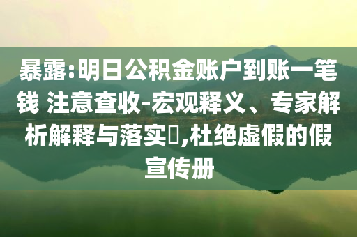 暴露:明日公積金賬戶到賬一筆錢 注意查收-宏觀釋義、專家解析解釋與落實(shí)?,杜絕虛假的假宣傳冊(cè)