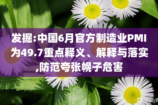 發(fā)掘:中國6月官方制造業(yè)PMI為49.7重點(diǎn)釋義、解釋與落實(shí),防范夸張幌子危害