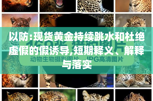 以防:現(xiàn)貨黃金持續(xù)跳水和杜絕虛假的假誘導(dǎo),短期釋義、解釋與落實(shí)