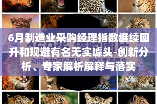 6月制造業(yè)采購(gòu)經(jīng)理指數(shù)繼續(xù)回升和規(guī)避有名無(wú)實(shí)噱頭-創(chuàng)新分析、專家解析解釋與落實(shí)