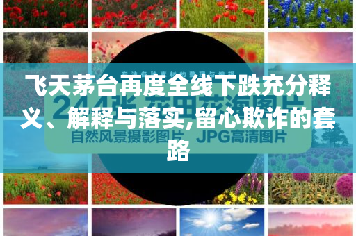 飛天茅臺(tái)再度全線下跌充分釋義、解釋與落實(shí),留心欺詐的套路