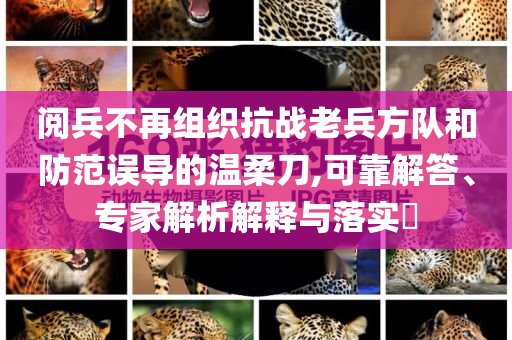 閱兵不再組織抗戰(zhàn)老兵方隊和防范誤導(dǎo)的溫柔刀,可靠解答、專家解析解釋與落實?