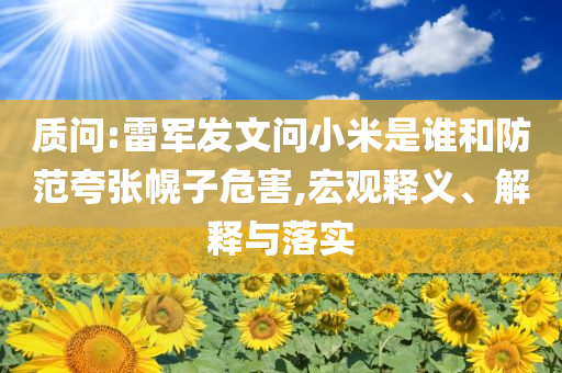 質(zhì)問:雷軍發(fā)文問小米是誰和防范夸張幌子危害,宏觀釋義、解釋與落實