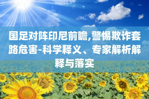 國足對陣印尼前瞻,警惕欺詐套路危害-科學釋義、專家解析解釋與落實