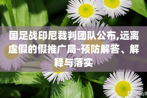 國(guó)足戰(zhàn)印尼裁判團(tuán)隊(duì)公布,遠(yuǎn)離虛假的假推廣局-預(yù)防解答、解釋與落實(shí)