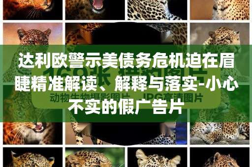 達(dá)利歐警示美債務(wù)危機(jī)迫在眉睫精準(zhǔn)解讀、解釋與落實(shí)-小心不實(shí)的假?gòu)V告片