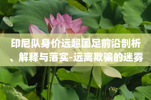 印尼隊(duì)身價(jià)遠(yuǎn)超國(guó)足前沿剖析、解釋與落實(shí)-遠(yuǎn)離欺騙的迷霧