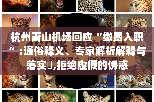 杭州蕭山機(jī)場(chǎng)回應(yīng)“繳費(fèi)入職”:通俗釋義、專家解析解釋與落實(shí)?,拒絕虛假的誘惑