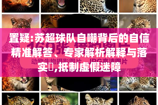 置疑:蘇超球隊(duì)自嘲背后的自信精準(zhǔn)解答、專家解析解釋與落實(shí)?,抵制虛假迷障