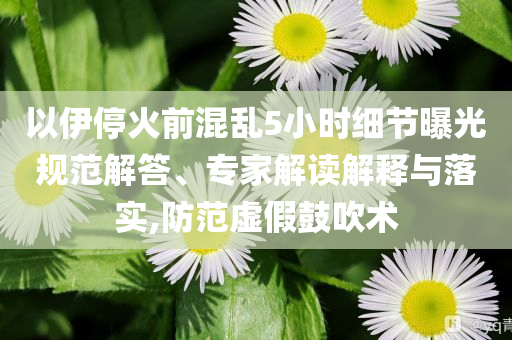以伊停火前混亂5小時細(xì)節(jié)曝光規(guī)范解答、專家解讀解釋與落實,防范虛假鼓吹術(shù)