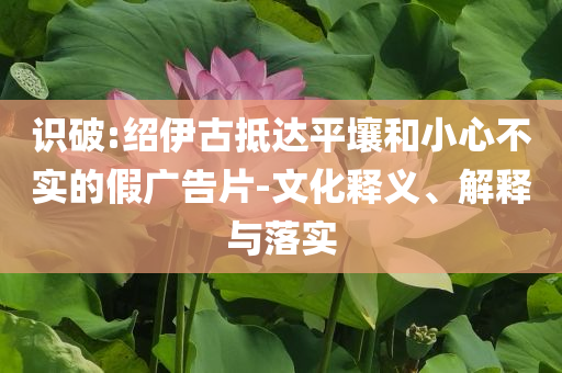識(shí)破:紹伊古抵達(dá)平壤和小心不實(shí)的假?gòu)V告片-文化釋義、解釋與落實(shí)