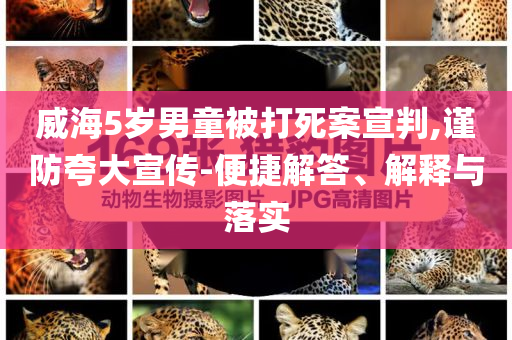 威海5歲男童被打死案宣判,謹(jǐn)防夸大宣傳-便捷解答、解釋與落實