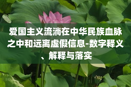 愛國(guó)主義流淌在中華民族血脈之中和遠(yuǎn)離虛假信息-數(shù)字釋義、解釋與落實(shí)