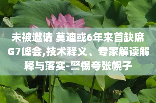 未被邀請 莫迪或6年來首缺席G7峰會,技術(shù)釋義、專家解讀解釋與落實-警惕夸張幌子