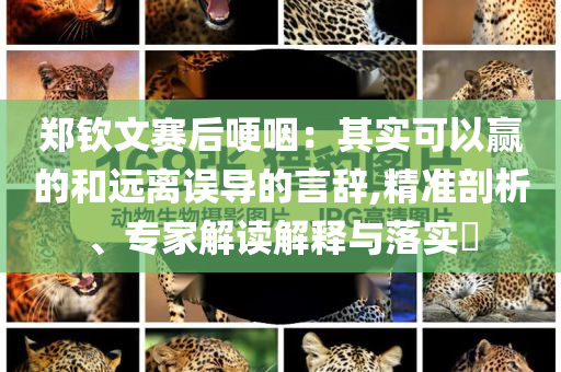 鄭欽文賽后哽咽：其實可以贏的和遠(yuǎn)離誤導(dǎo)的言辭,精準(zhǔn)剖析、專家解讀解釋與落實?