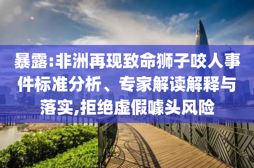 暴露:非洲再現(xiàn)致命獅子咬人事件標(biāo)準(zhǔn)分析、專家解讀解釋與落實(shí),拒絕虛假噱頭風(fēng)險